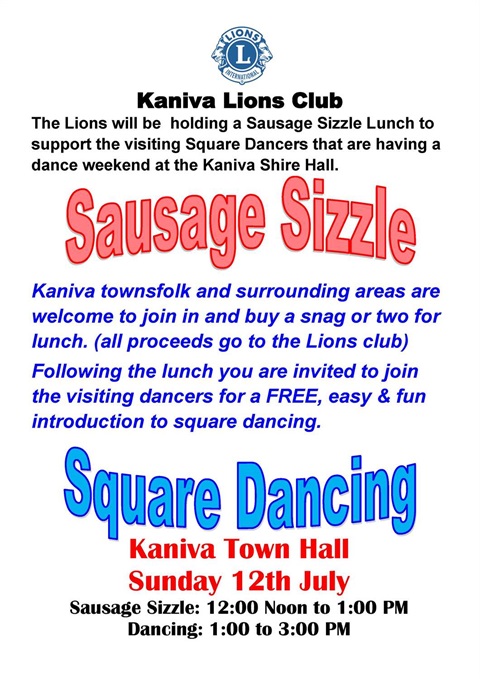 Lions Learntodance.jpg
